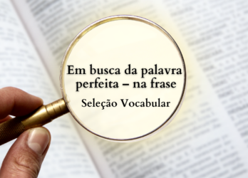 Em busca da palavra perfeita – na frase